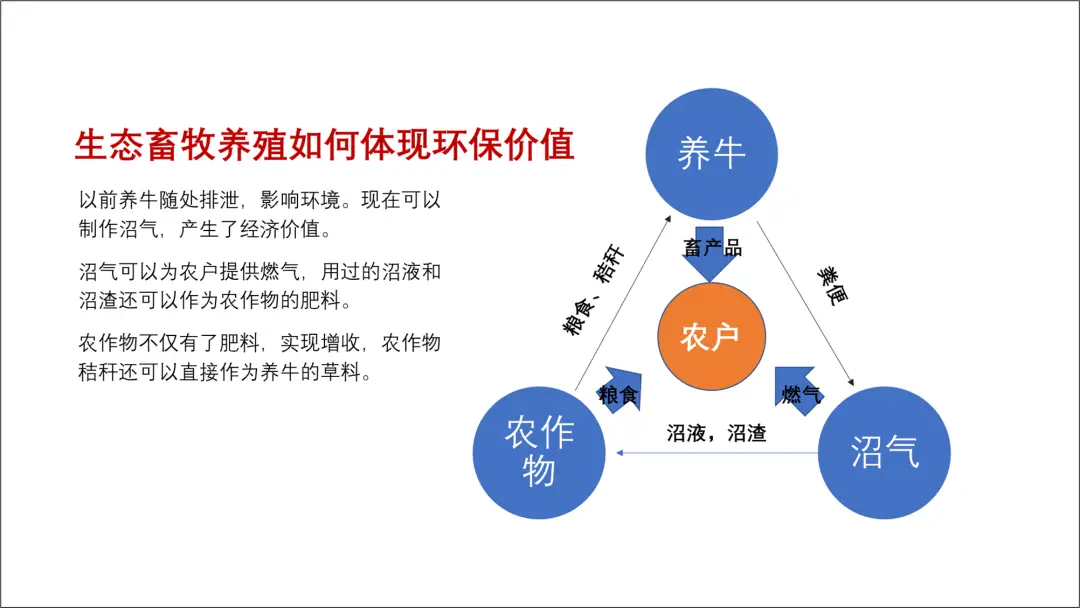 PPT“循环”图，到底怎么用？ 办公技巧 第2张