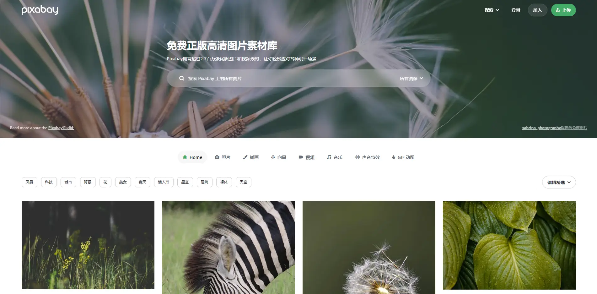 12个免费PPT素材网站，制作PPT的时候都能用得上！-小桃